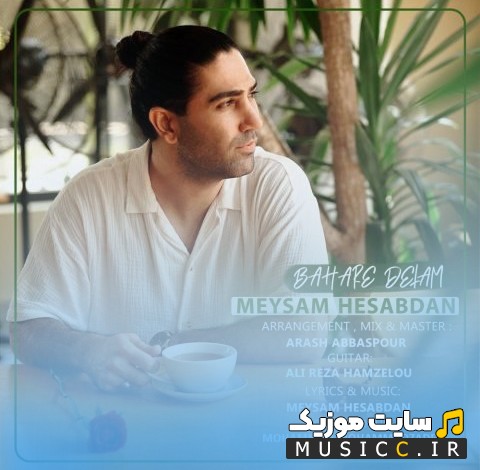 دانلود آهنگ میثم حسابدان بهار دلم (Meysam Hesabdan) با بهترین کیفیت